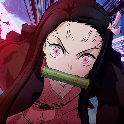 Demon Slayer The Hinokami Chronicles Cd Key